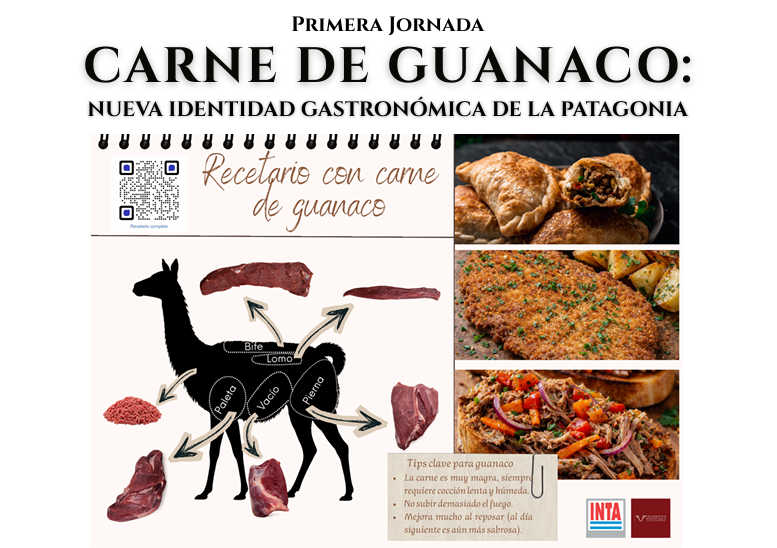 Realizarán la 1° jornada gastronómica para poner en valor la carne de guanaco patagónico